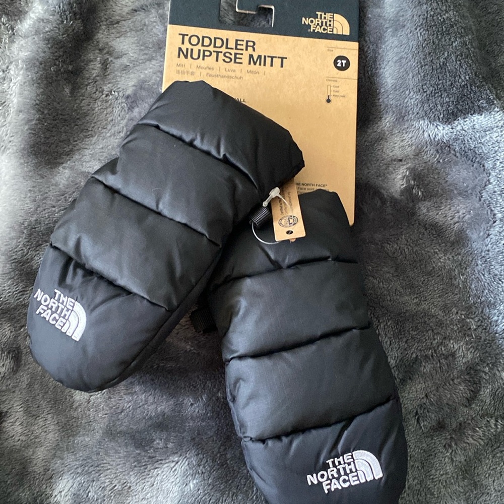 The North Face Gloves
